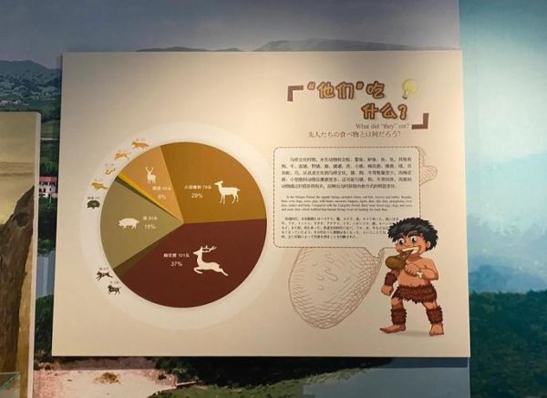 历史探秘大全_古代文明消失之谜