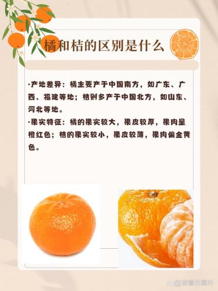 橘子历史故事大全_橘子起源与传说有哪些