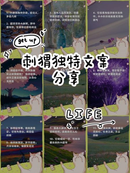 刺猬文案怎么写_艺术创意文案技巧