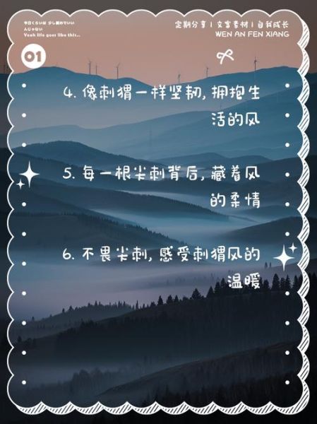 刺猬文案怎么写_艺术创意文案技巧