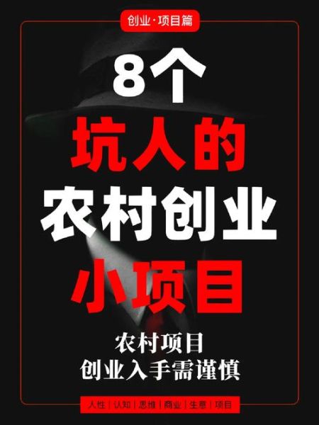 农村小科技产品招商怎么做_适合乡镇的小本创业项目