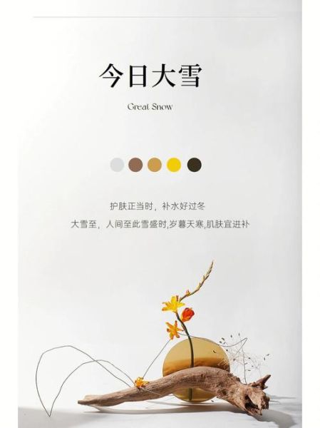 大雪节气艺术文案怎么写_大雪节气文案灵感来源