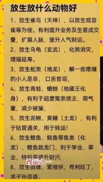 动物历史故事大全_有哪些传奇动物改变了人类命运