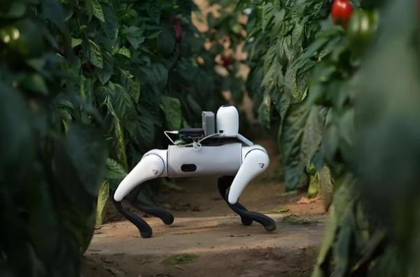 农民都在用哪些黑科技_农业黑科技产品有哪些