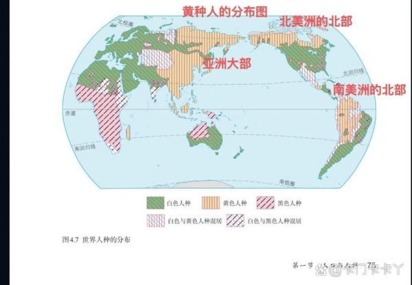 世界人种有哪些_人种起源与分布地图