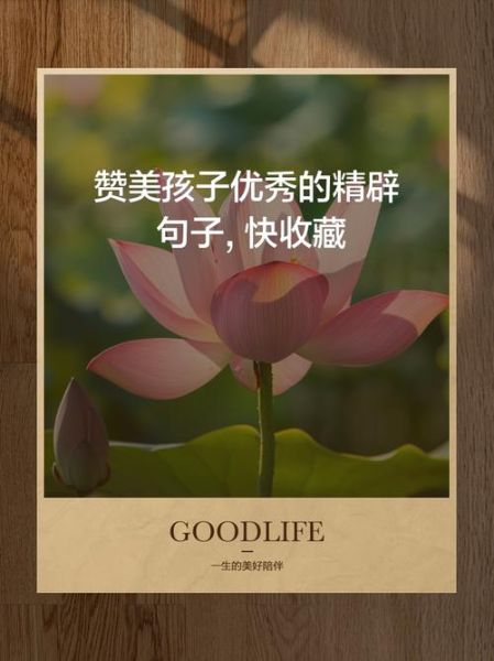 如何表扬孩子_表扬的艺术有哪些