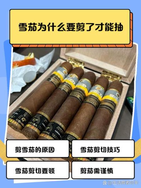 雪茄历史起源_雪茄怎么抽才正宗