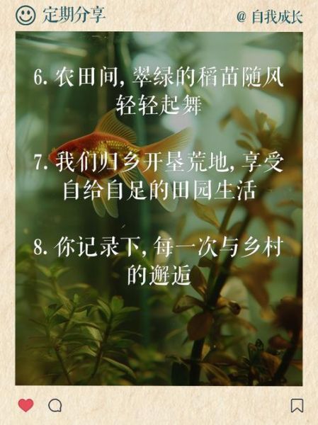 田园生活的好处_如何开始田园生活