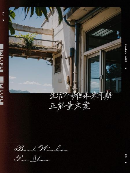 生活不易文案馆怎么写_有哪些经典句子