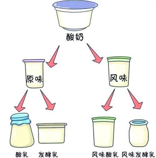 酸奶是怎么来的_酸奶起源故事