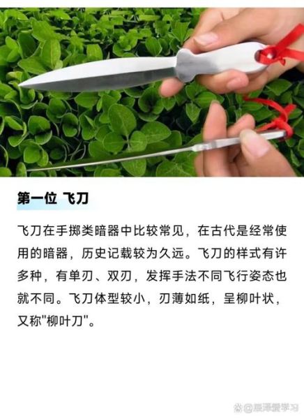 古代暗器有哪些_暗器大全及使用场景