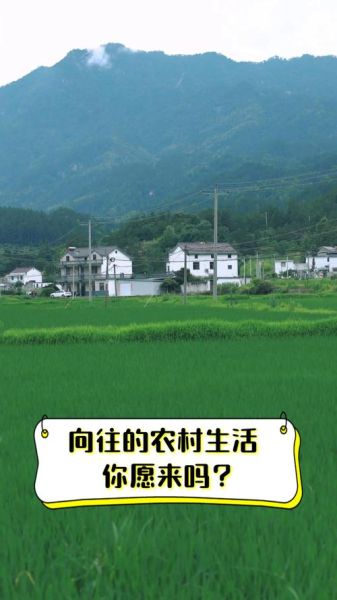 农村生活有哪些好处_农村生活真的好吗