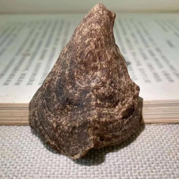 沉香历史图片大全_沉香最早出现在哪个朝代