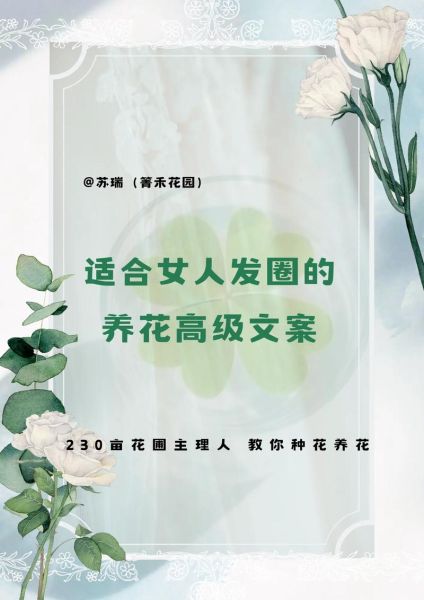 花怎么选_花与生活文案朋友圈怎么写