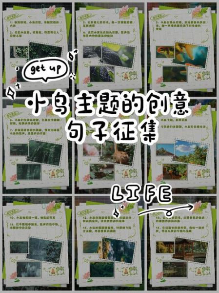 小鸟艺术文案怎么写_小鸟艺术文案有哪些技巧