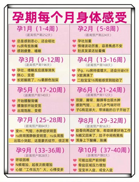 孕妇如何记录生活_孕期日记怎么写