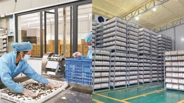 海南高科技产品批发基地在哪里_如何拿货