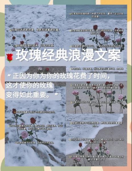 rose艺术文案怎么写_rose艺术文案有哪些经典句式
