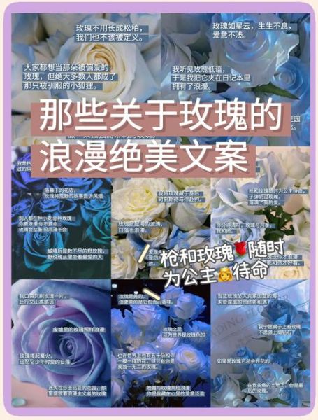 rose艺术文案怎么写_rose艺术文案有哪些经典句式