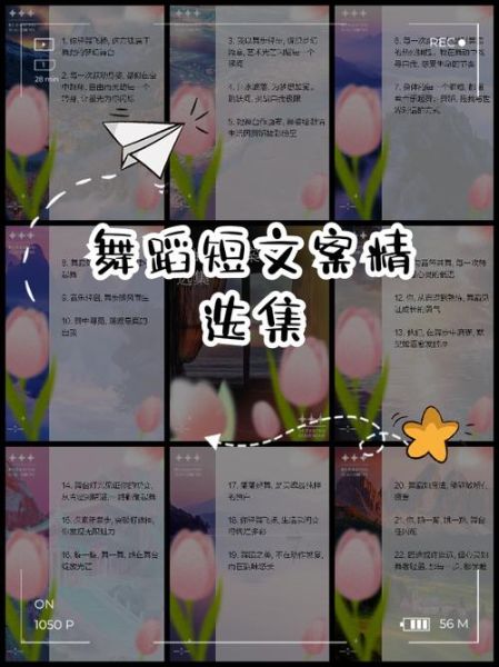 舞蹈艺术视频怎么拍_舞蹈艺术视频文案怎么写