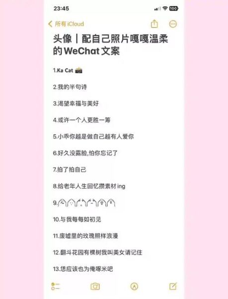 发自拍艺术文案怎么写_发自拍配什么文字最吸引人