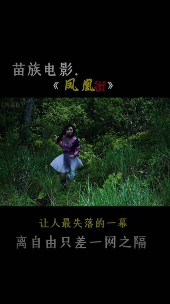 苗族历史电影大全_有哪些经典值得一看