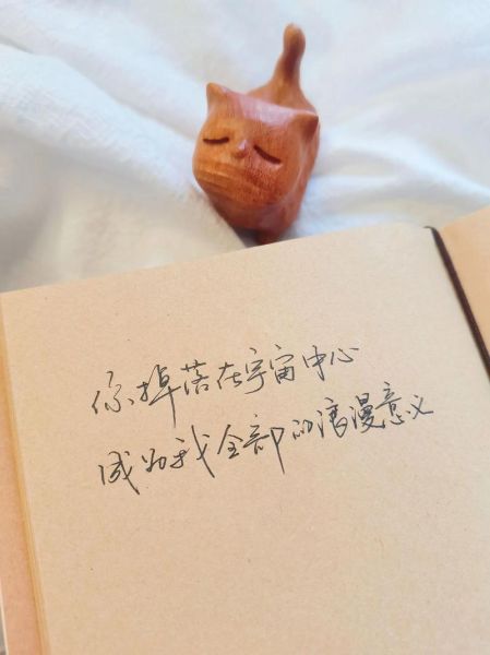 手写艺术文案怎么写_手写文案如何提升品牌温度