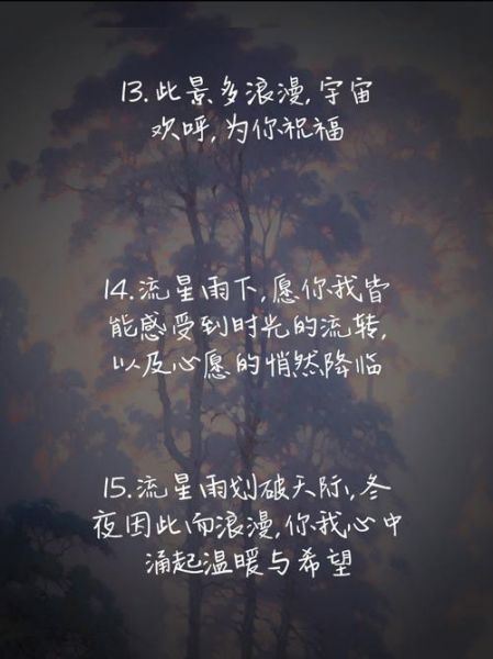 流星雨文案怎么写_流星雨文案生活灵感