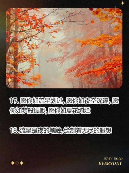 流星雨文案怎么写_流星雨文案生活灵感