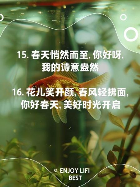 春天艺术文案怎么写_春天艺术文案灵感哪里找