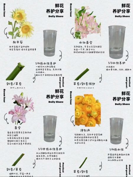 鲜花怎么养才不会枯萎_鲜花日常养护技巧
