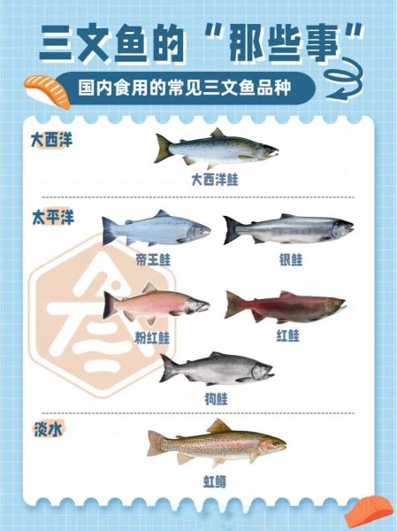 如何挑选新鲜三文鱼_三文鱼怎么保存才新鲜