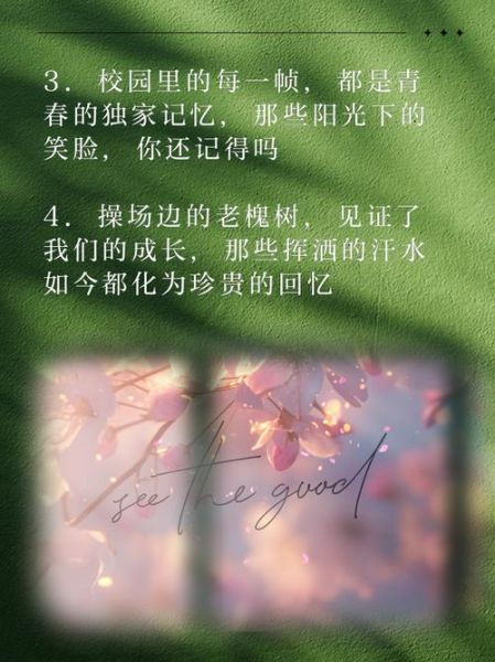 学校生活文案怎么写_如何拍出ins风校园照