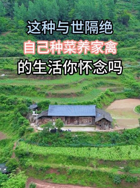 农村生活有哪些好处_如何在农村过上自给自足的生活