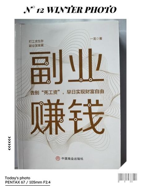 小镇青年怎么赚钱_小镇青年适合做什么副业