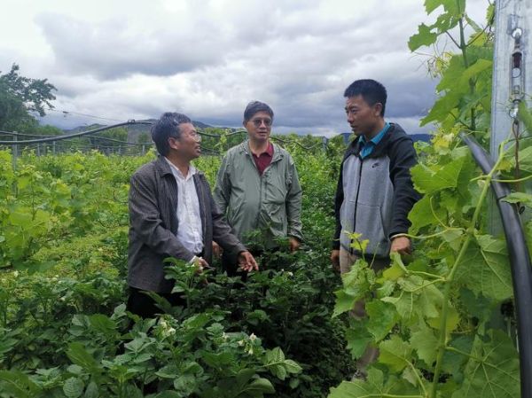 天津派云科技产品怎么样_天津派云科技好用吗