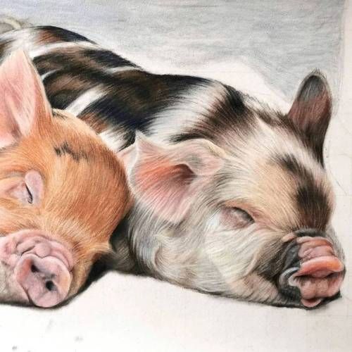 动物艺术怎么画_动物艺术有哪些风格