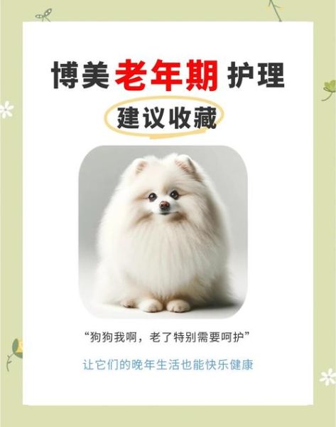 狗狗老了吃什么好_老年犬护理注意事项
