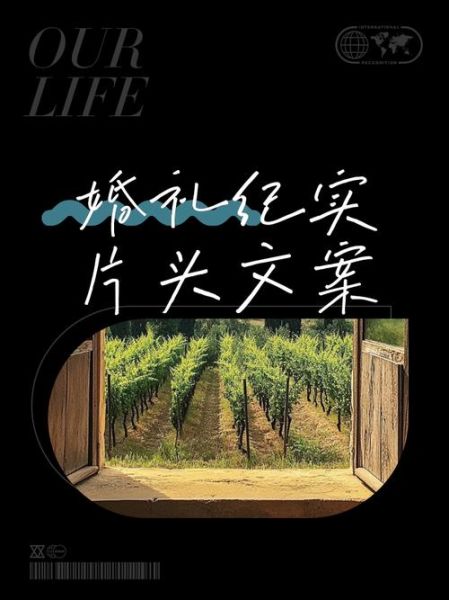 如何拍摄纪实生活文案_纪实视频怎么写文案才感人