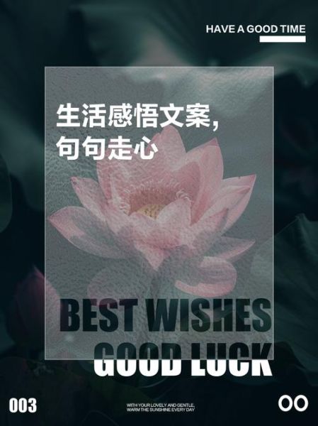 为了生活文案怎么写_为了生活走心文案范例