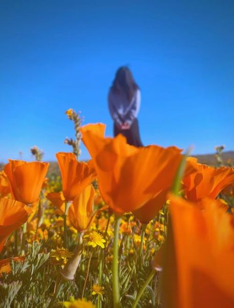 照片怎么拍才像艺术_如何用手机拍出艺术感