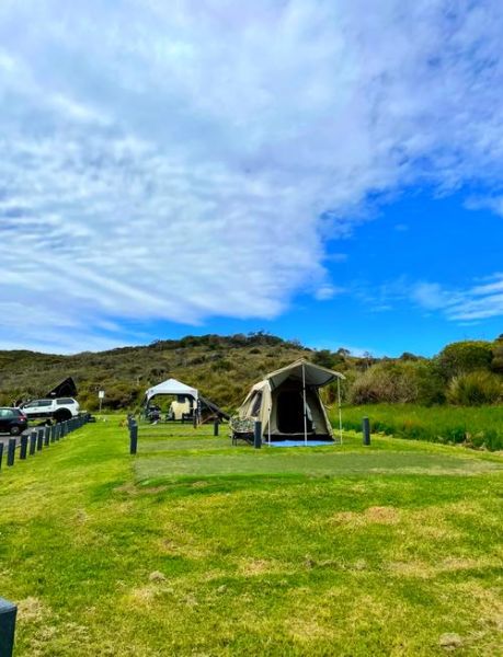 艺术露营适合带孩子吗_艺术露营需要准备什么