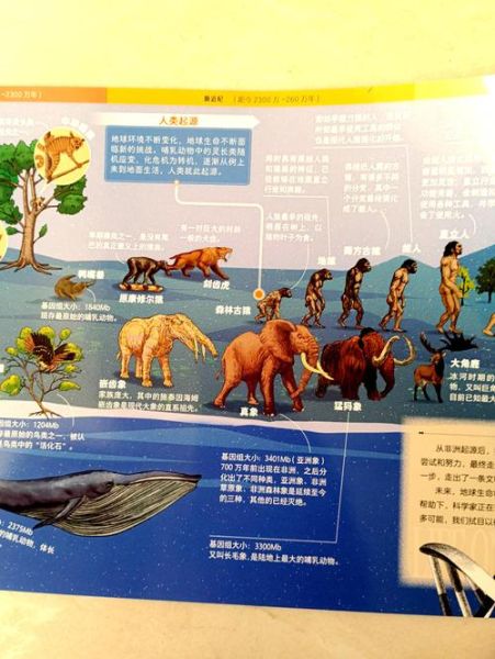 历史长卷大全有哪些_如何挑选适合自己的历史长卷