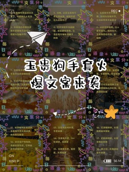 手套艺术文案怎么写_手套文案有哪些高级表达