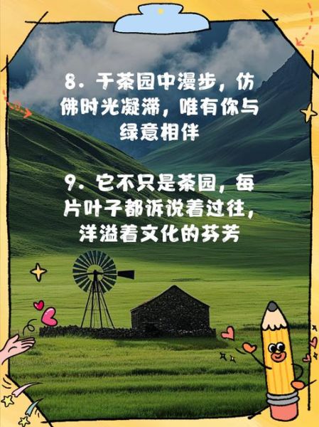 茶园文案怎么写_茶园生活文案范例