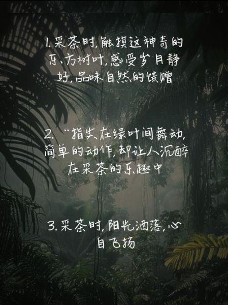 茶园文案怎么写_茶园生活文案范例