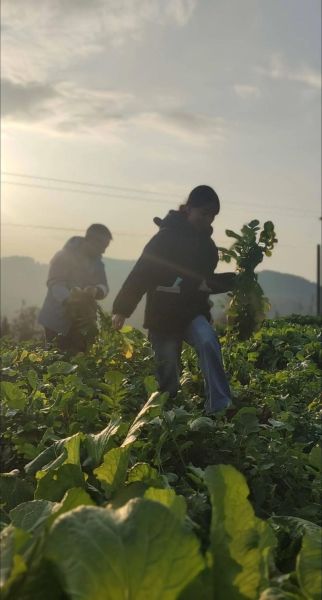 农村惬意生活怎么过_农村惬意生活有哪些乐趣