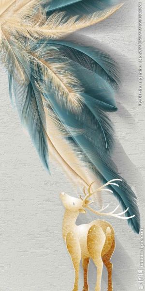 艺术彩色羽毛怎么画_彩色羽毛装饰画教程