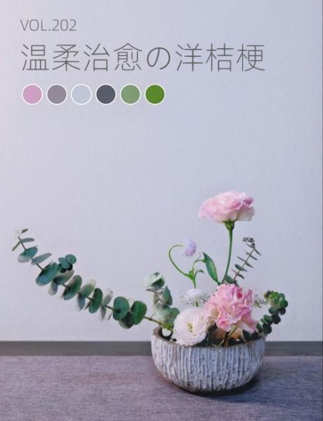 插花初学者买什么花材_插花如何配色才高级