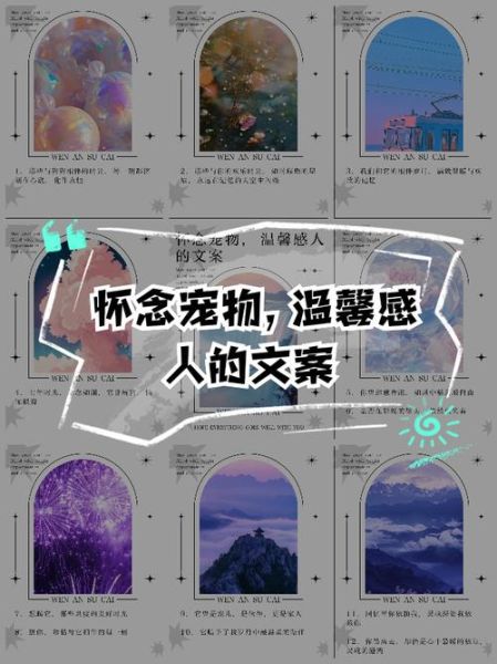 宠物艺术文案怎么写_宠物纪念文案有哪些